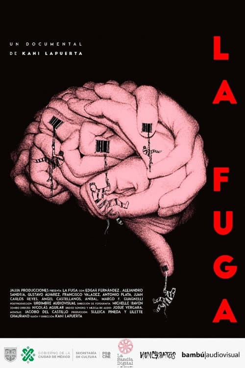 La fuga afişi