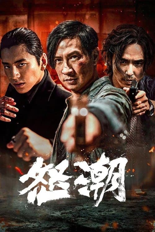 怒潮 afişi