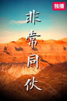 非常同伙 afişi