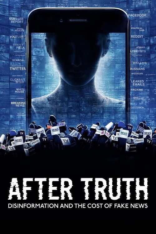 After Truth: Disinformation and the Cost of Fake News afişi