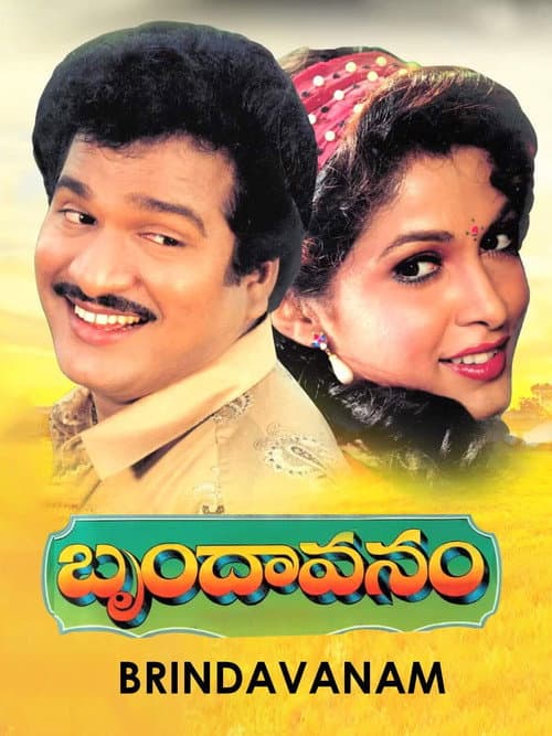 బృందావనం afişi