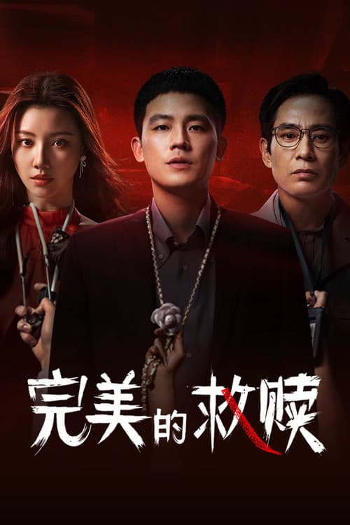 完美的救赎 afişi