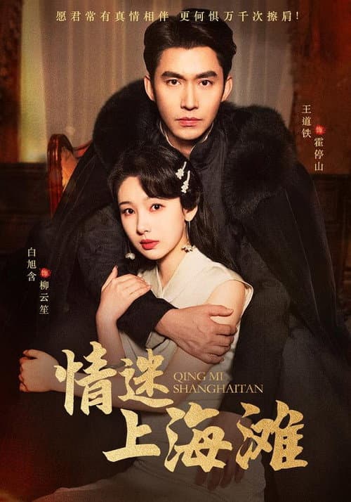 情迷上海滩 afişi