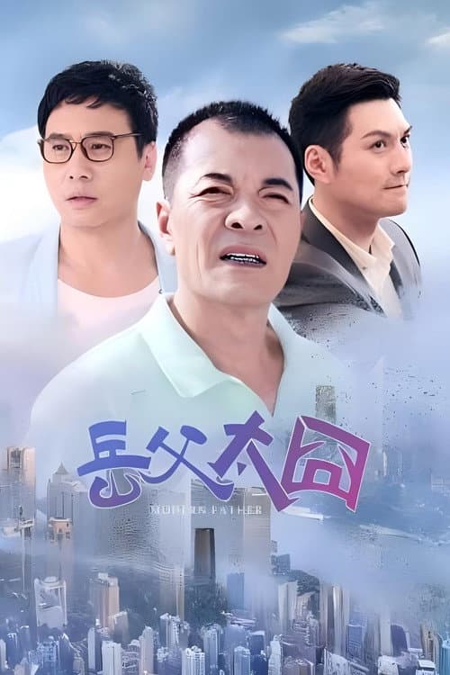 摩登岳父 afişi