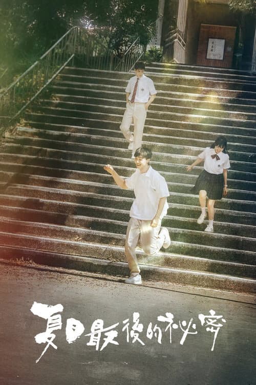 夏日最後的祕密 afişi