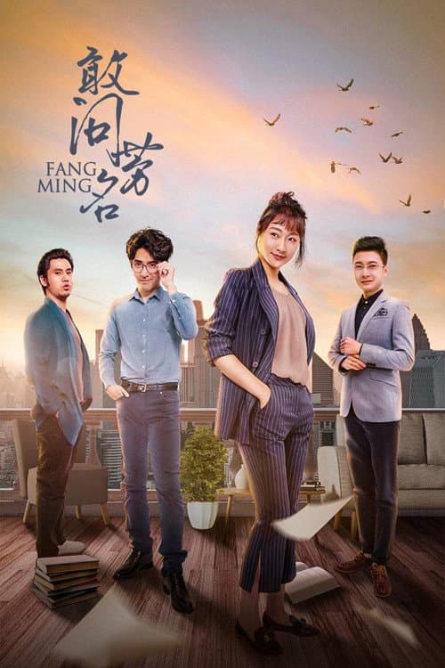 敢问芳名 afişi