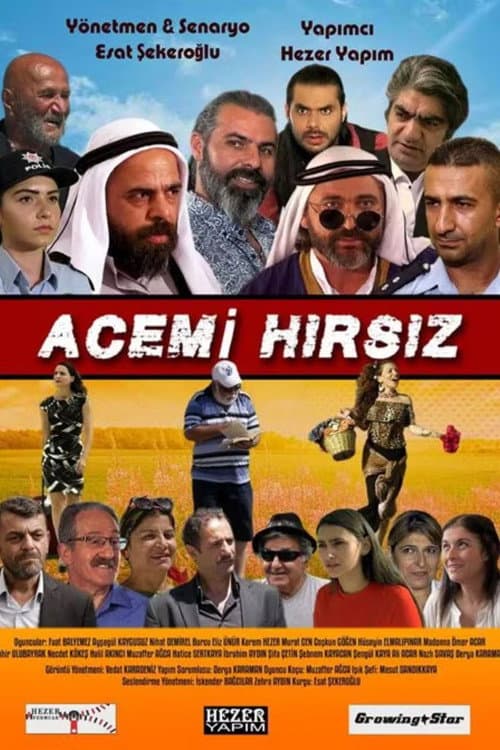 Acemi Hırsız afişi