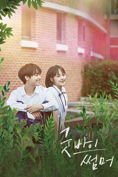 굿바이 썸머 afişi