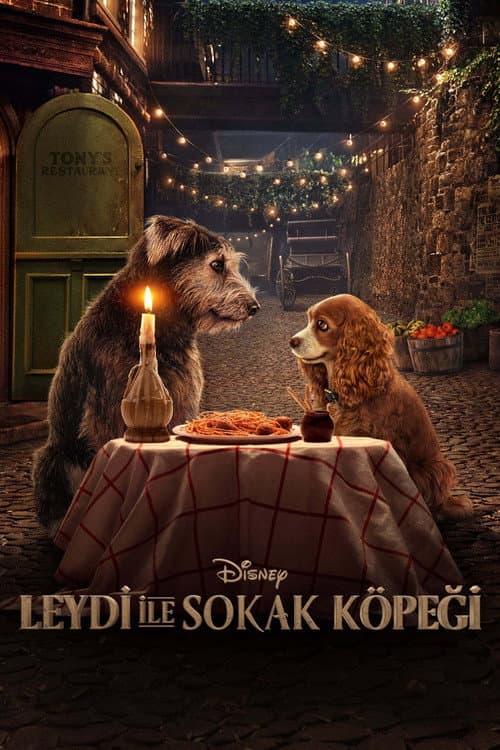 Lady ile Sokak Köpeği afişi