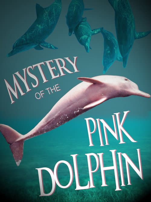 The Mystery of the Pink Dolphin afişi