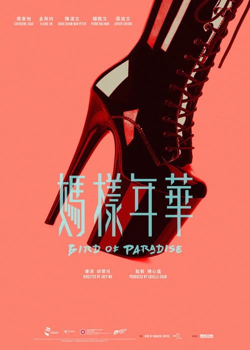 媽樣年華 afişi