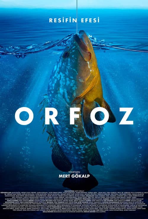 Orfoz: Resifin Efesi afişi