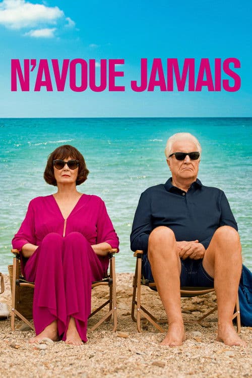 N’avoue jamais afişi