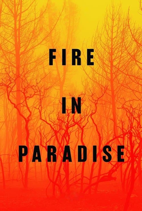 Fire in Paradise afişi