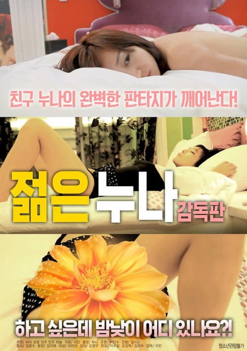 젊은 누나 afişi