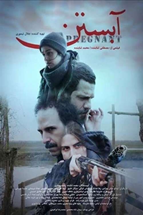 آبستن afişi