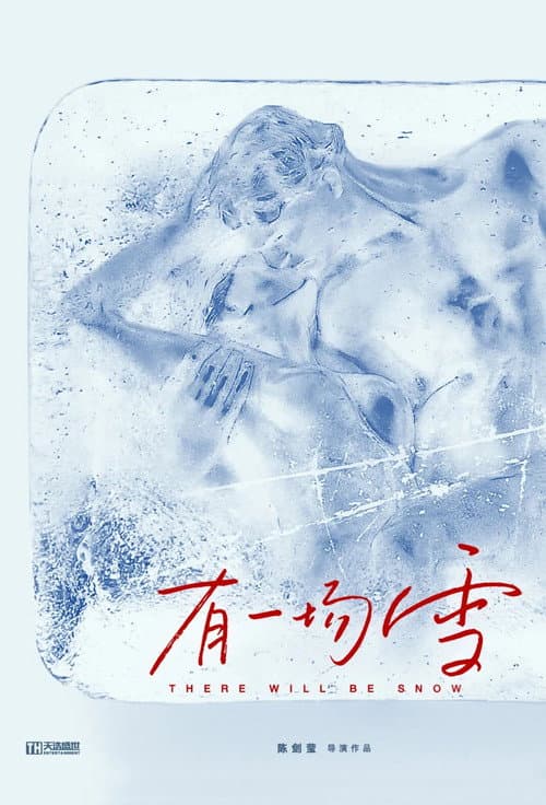 有一场雪 afişi