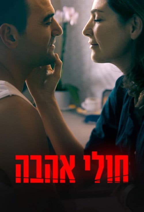 חולי אהבה afişi
