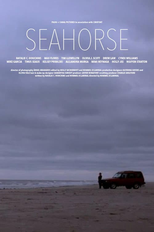 Seahorse afişi