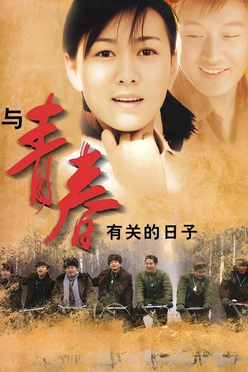 与青春有关的日子 afişi