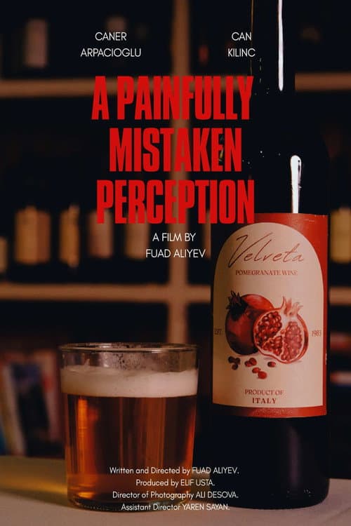 A Painfully Mistaken Perception afişi
