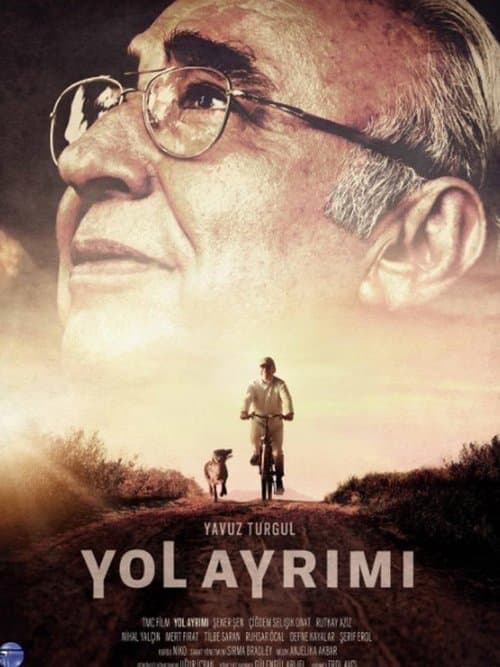 Yol Ayrımı afişi