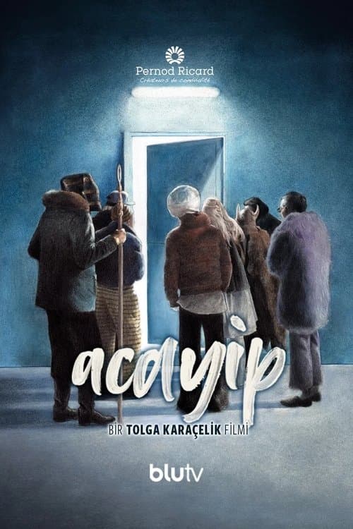 Acayip afişi