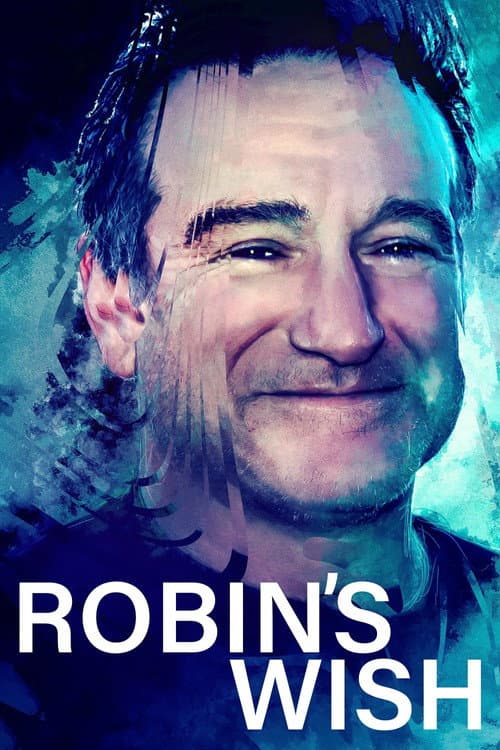 Robin's Wish afişi