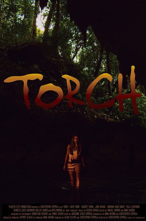 Torch afişi