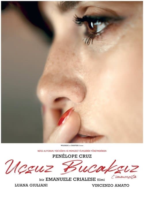 Uçsuz Bucaksız afişi