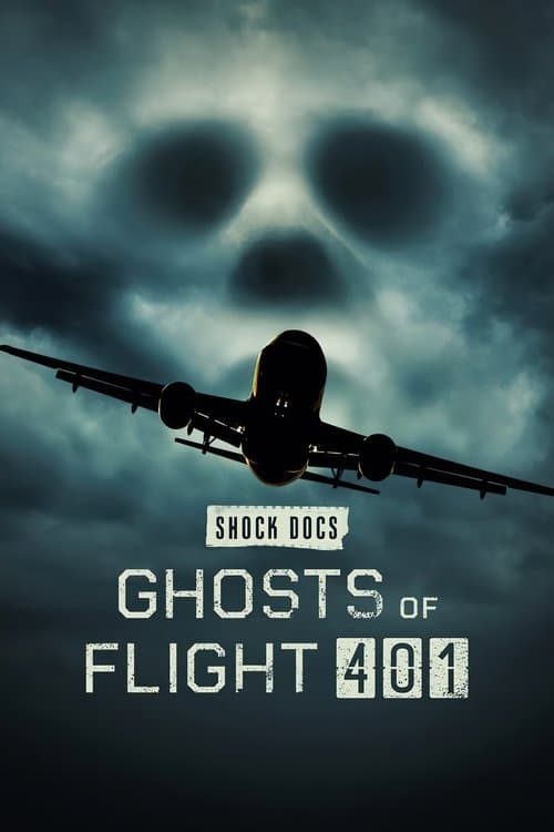 Ghosts of Flight 401 afişi