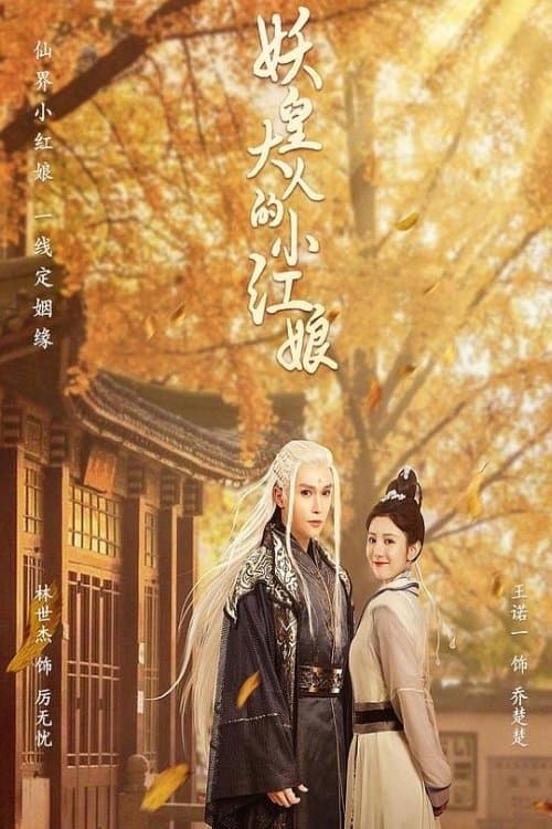 妖皇大人的小红娘 afişi