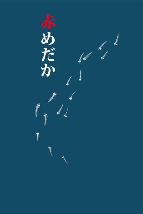 赤めだか afişi