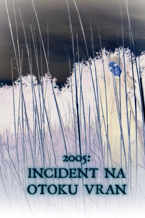 2005: Incident na otoku Vran afişi