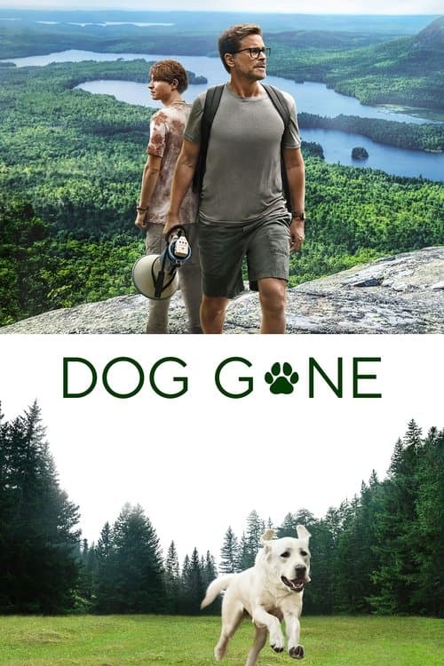 Kayıp Köpek afişi