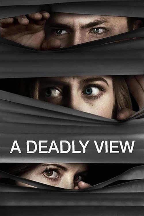 A Deadly View afişi
