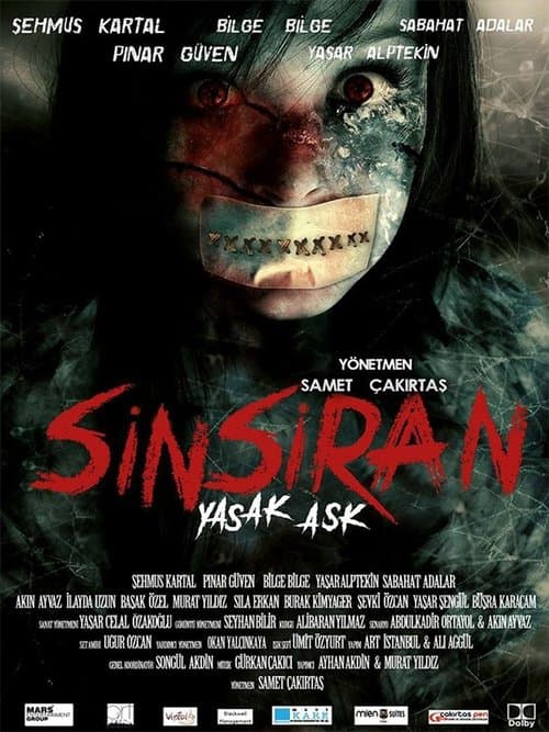 Sinsiran: Yasak Aşk afişi