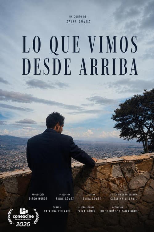 Lo que vimos desde arriba afişi