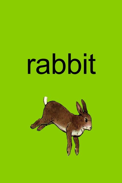 Rabbit afişi