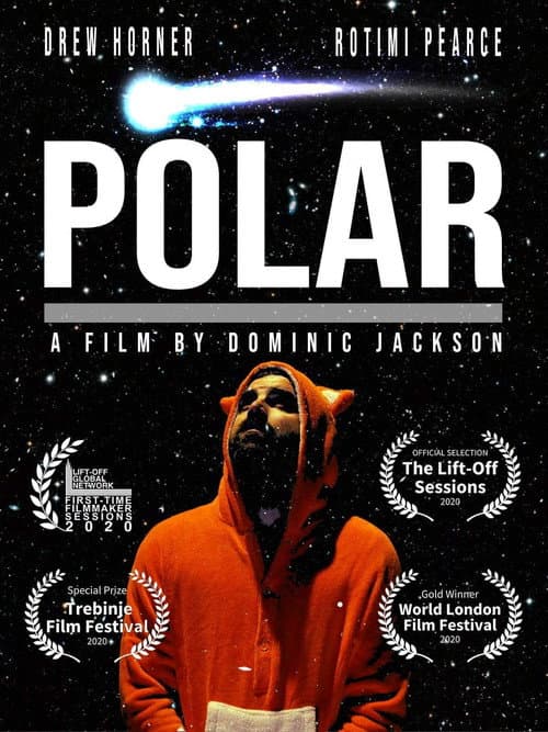Polar afişi