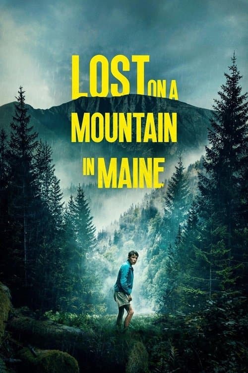 Lost on a Mountain in Maine afişi