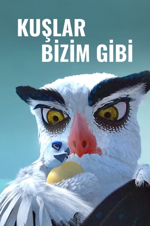 Kuşlar Bizim Gibi afişi