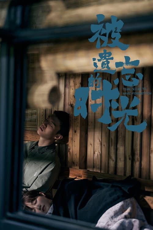 被遗忘的时光 afişi