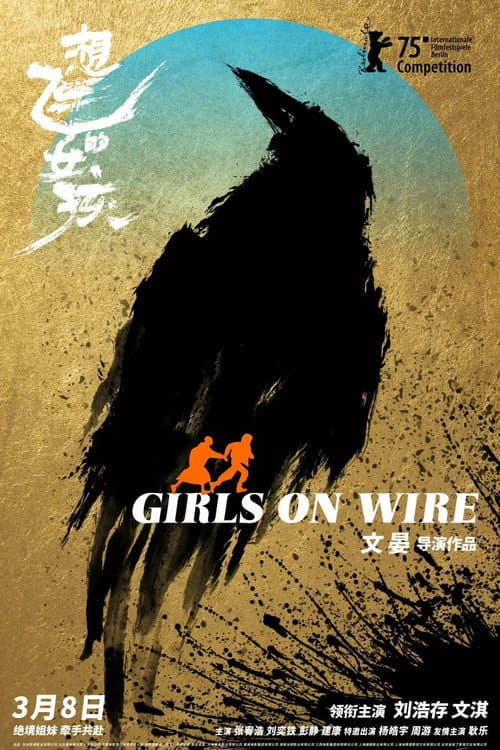 想飞的女孩 afişi
