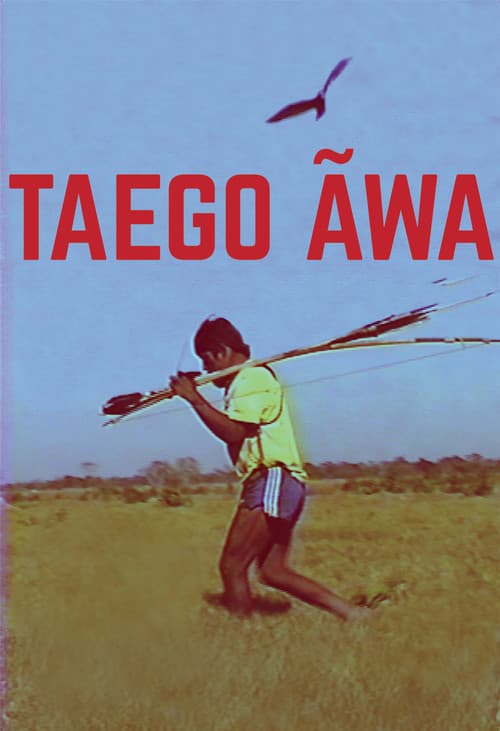 Taego Ãwa afişi