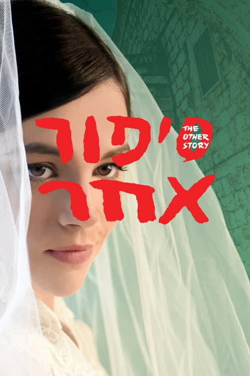 סיפור אחר afişi