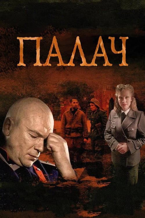 Палач afişi