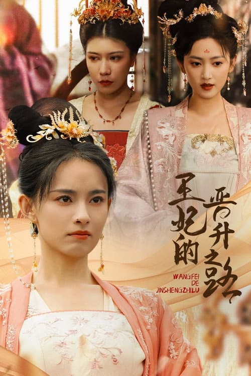 王妃的晋升之路 afişi