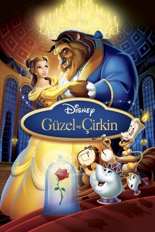 Güzel ve Çirkin afişi