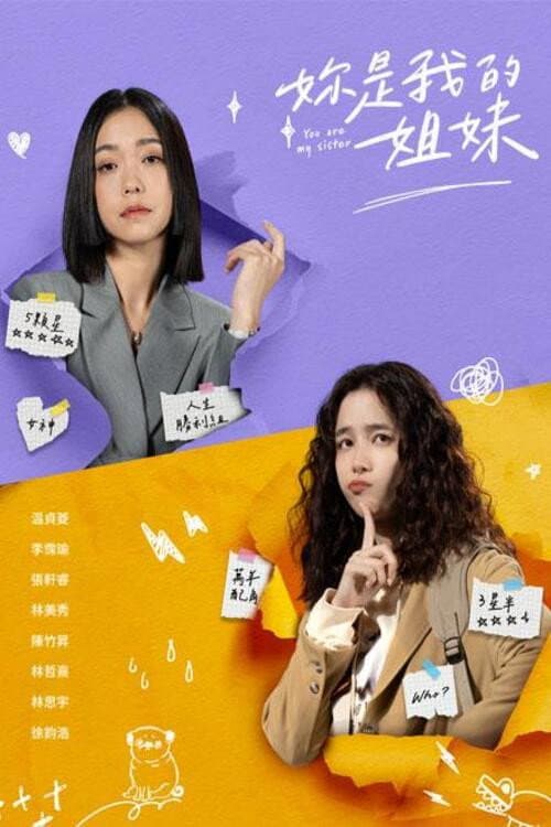 妳是我的姐妹 afişi